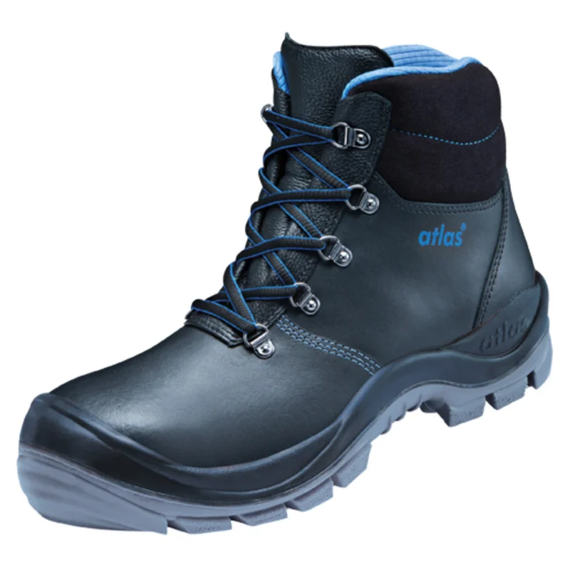 shop.doenges-rs2-385249