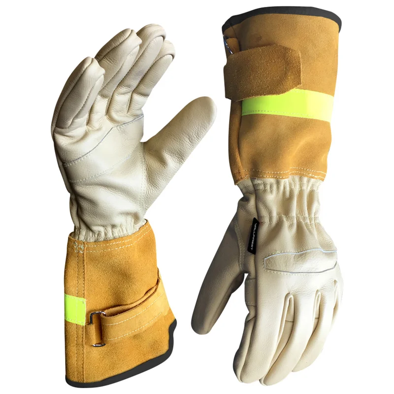 shop.doenges-rs2-386305