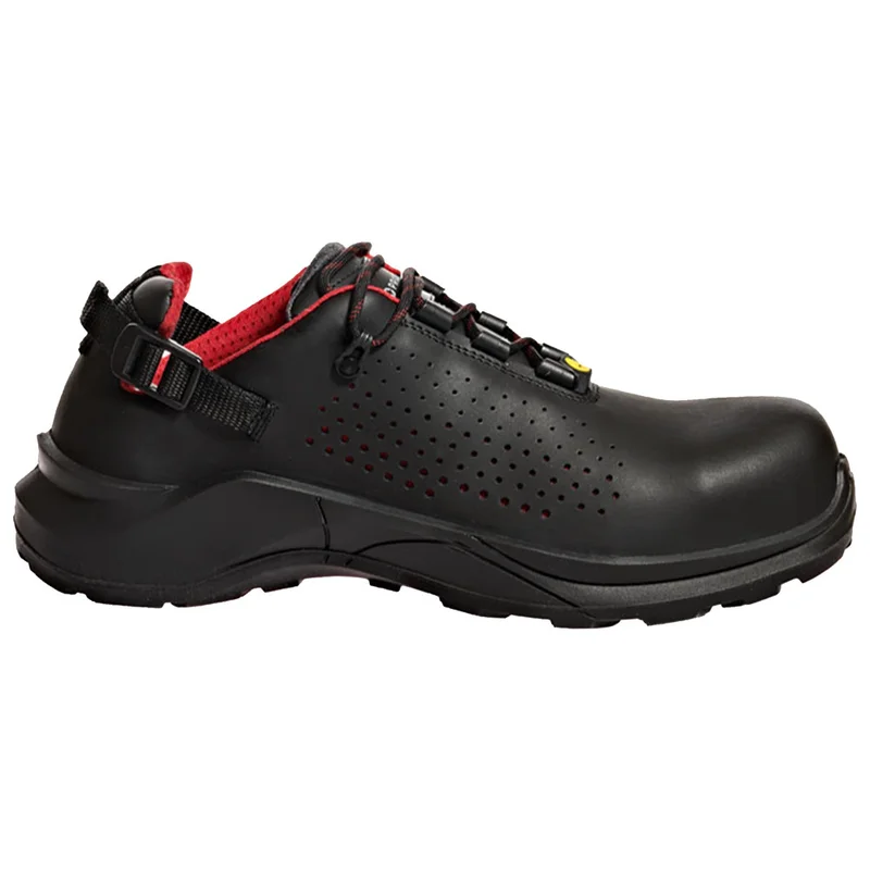 shop.doenges-rs2-388034