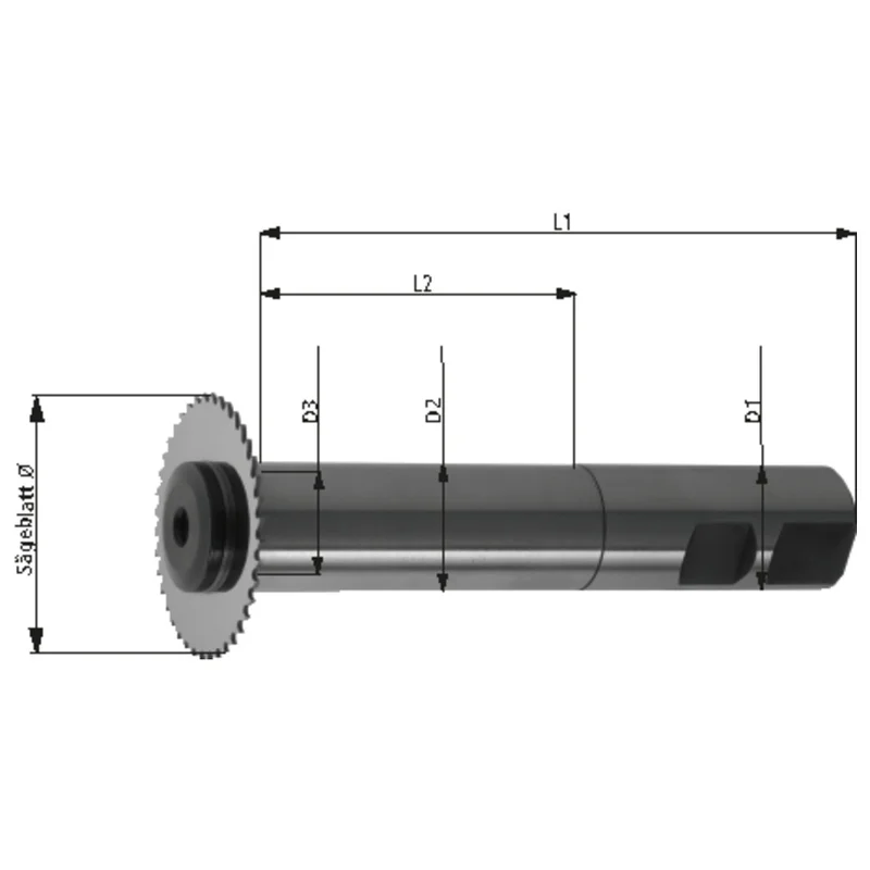 shop.doenges-rs2-388671
