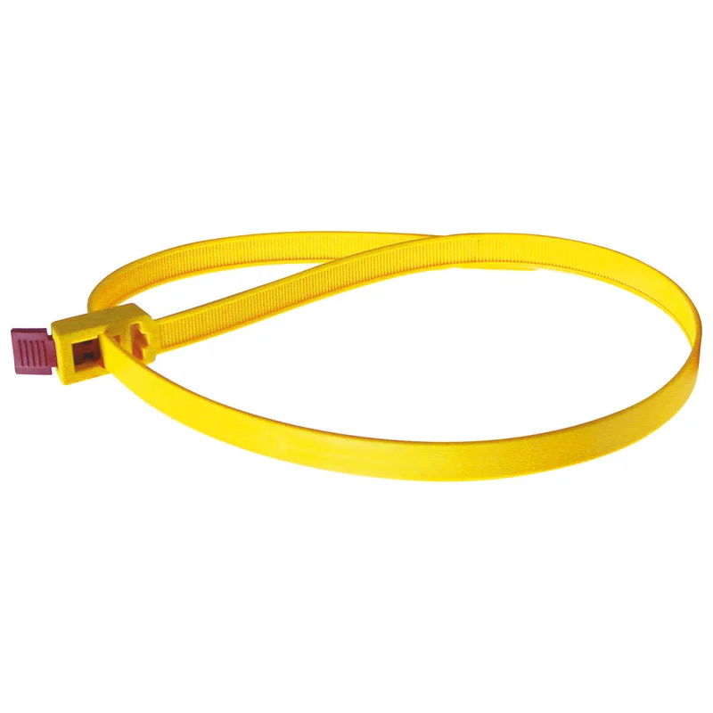 shop.doenges-rs2-390465