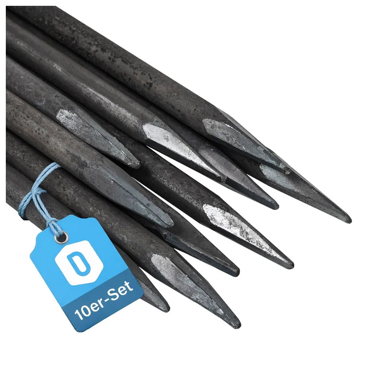 shop.doenges-rs2-398646