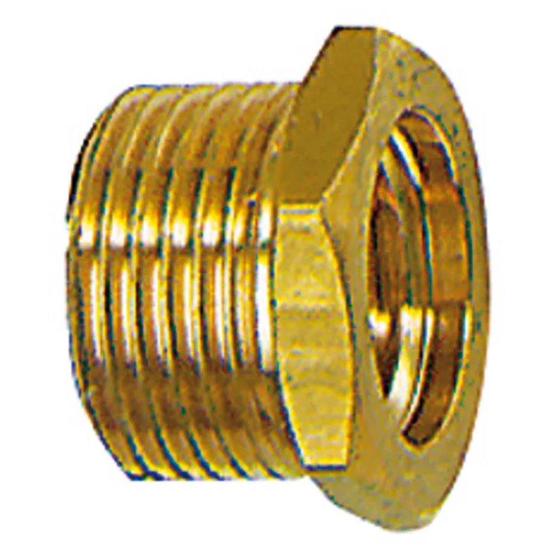 shop.doenges-rs2-398886
