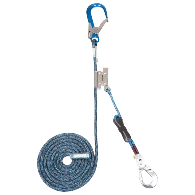 shop.doenges-rs2-399888