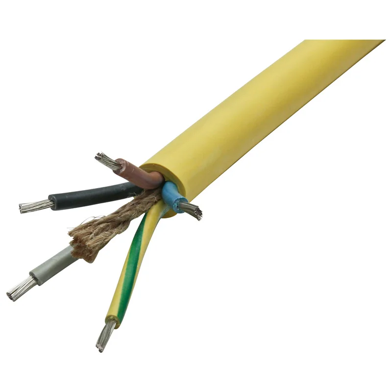 shop.doenges-rs2-403676