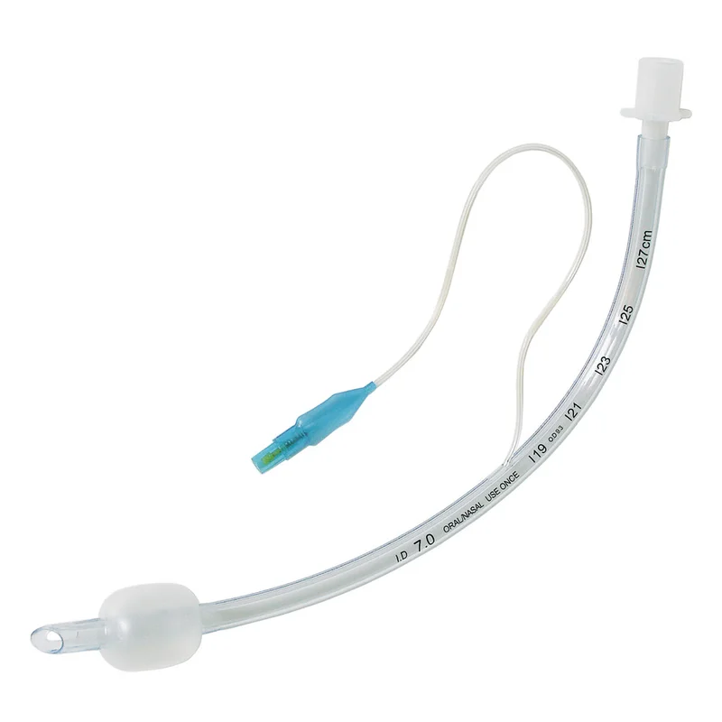 shop.doenges-rs2-403683