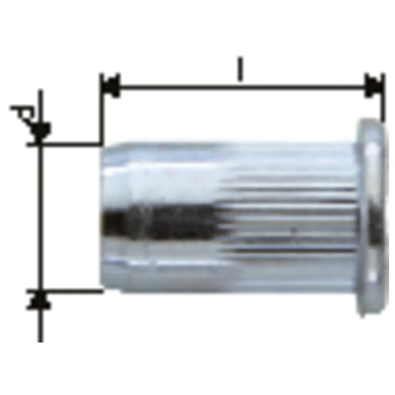 shop.doenges-rs2-404087