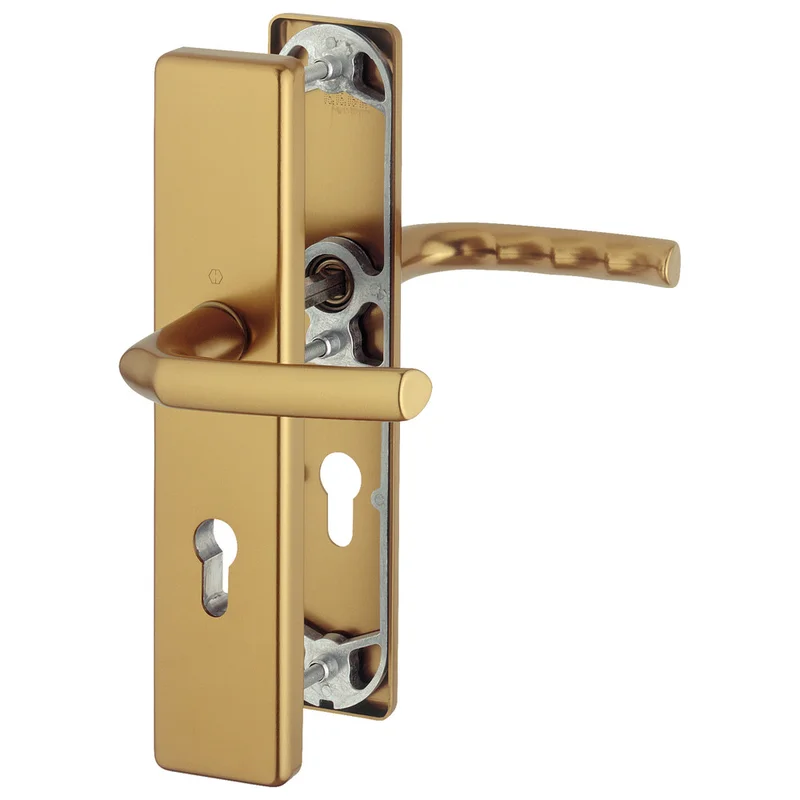 shop.doenges-rs2-414793