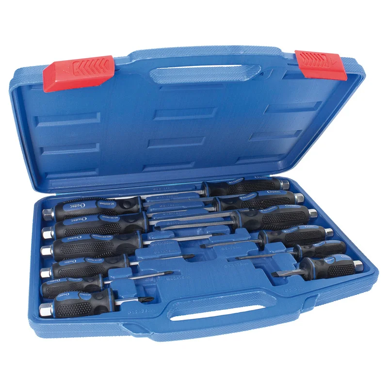 shop.doenges-rs2-420228