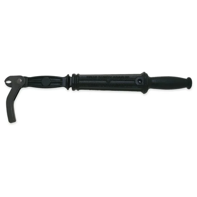 shop.doenges-rs2-427386