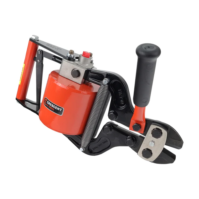 shop.doenges-rs2-433522