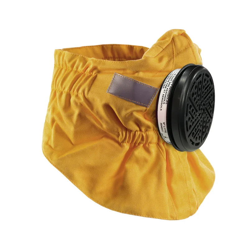 shop.doenges-rs2-434844