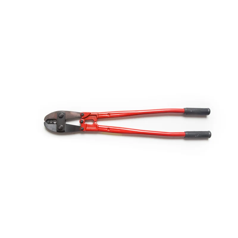 shop.doenges-rs2-434961
