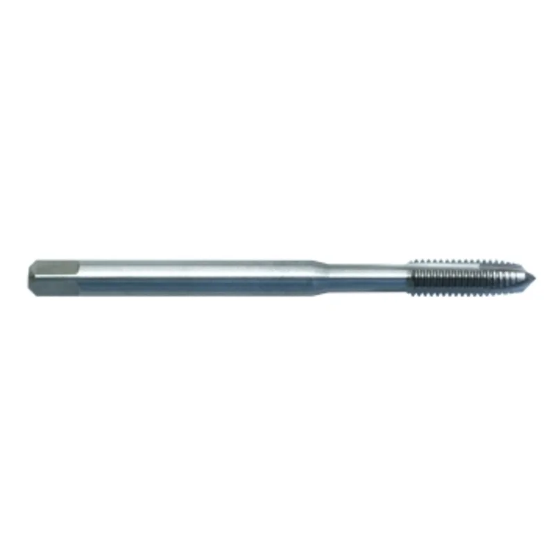shop.doenges-rs2-440039