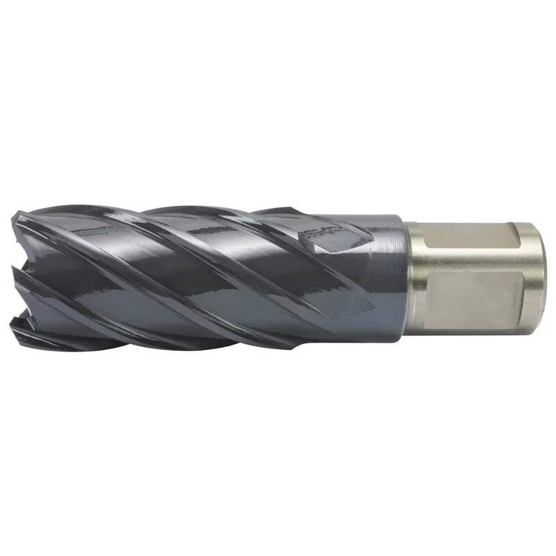 shop.doenges-rs2-442181